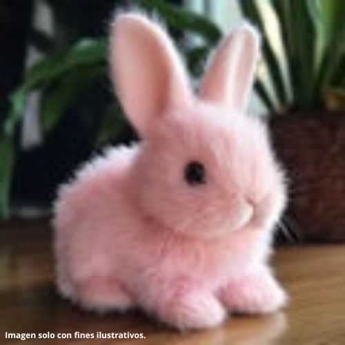 Orelhudo Mi Conejito Realista.